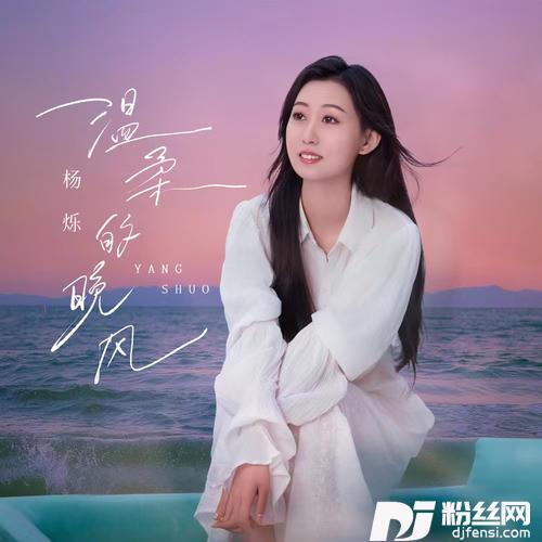 温柔的晚风的专辑