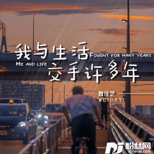 我与生活交手许多年的专辑