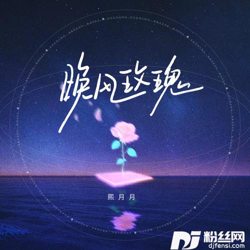 晚风玫瑰