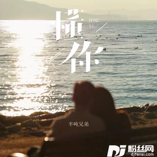 懂你烟嗓版的专辑