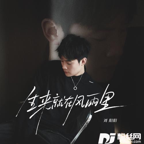 生来就在风雨里（我早已看不清我自己）
