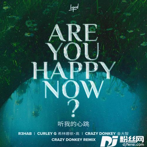 AreYouHappyNowCrazyDonkeyRemix的专辑