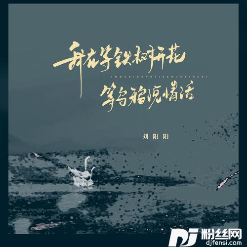 我在等铁树开花