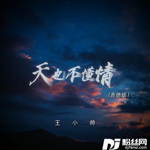 天也不懂情吉他版的专辑
