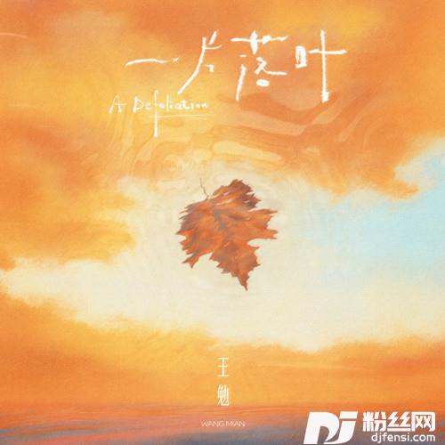 一片落叶的专辑