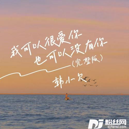 我可以很爱你也可以没有你的专辑