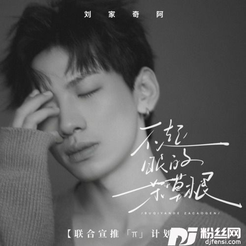 不起眼的杂草根难道我生来就只是杂草根的专辑