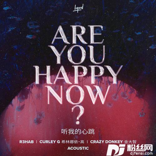 听我的心跳AreYouHappyNow的专辑
