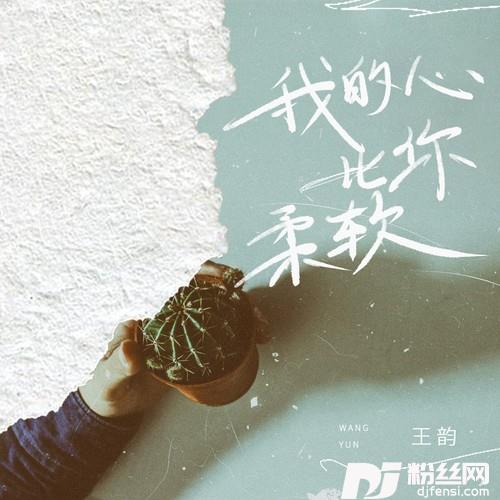 我的心比你柔软的专辑