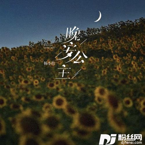 晚安公主
