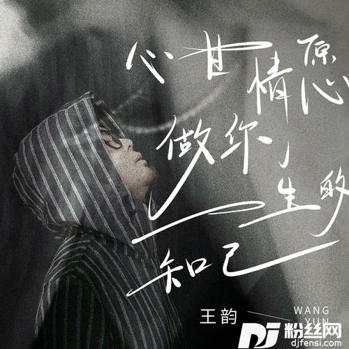 心甘情愿做你一生的知己的专辑