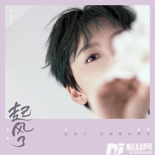起风了的专辑