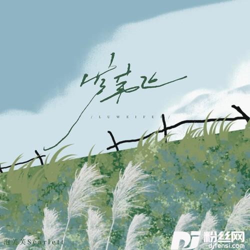 芦苇飞