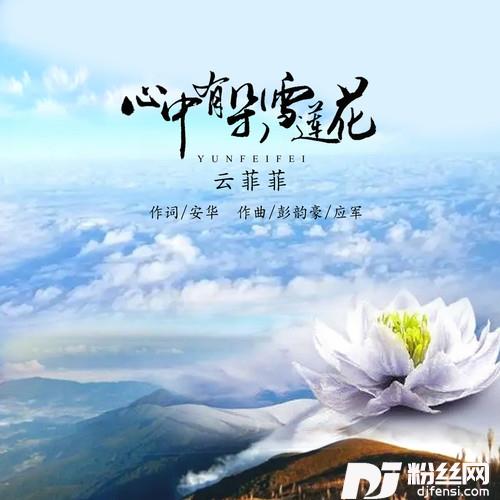 心中有朵雪莲花