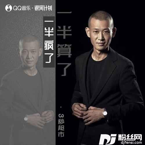 一半疯了一半算了的专辑