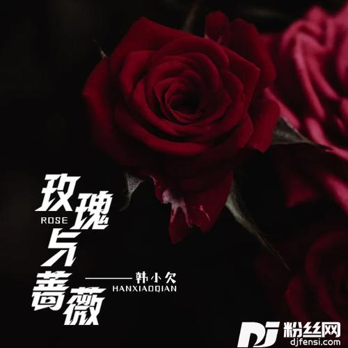 玫瑰与蔷薇
