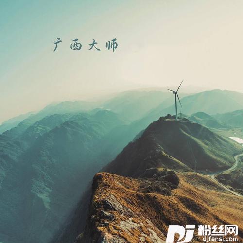 广西大师