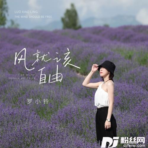 风就该自由的专辑
