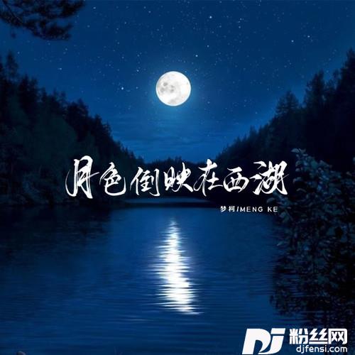 月色倒映在西湖