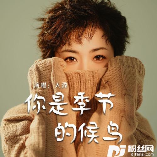 你是季节的候鸟的专辑