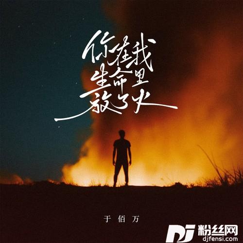 你在我生命里放了火