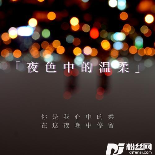 夜色中的温柔（DJ嗨鼓版）的专辑