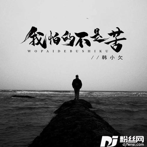 我怕的不是苦男版的专辑
