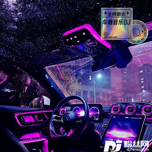 一路生花dj车载版的专辑
