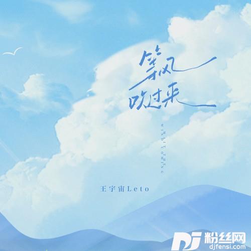 等风吹过来