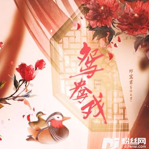 鸳鸯戏DJ阿卓