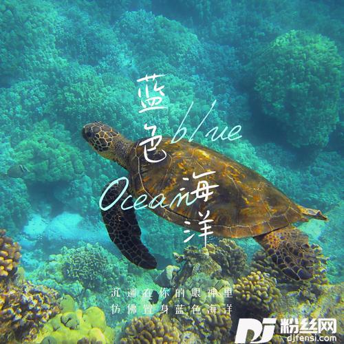 蓝色海洋（DJ版）的专辑