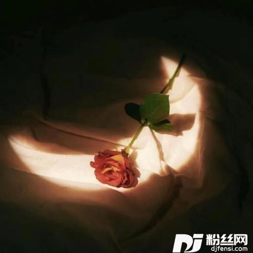 沉溺DJ版的专辑