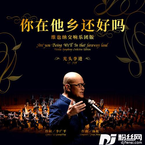 你在他乡还好吗维也纳交响乐团版的专辑