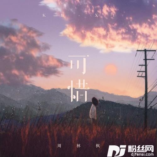 可惜的专辑