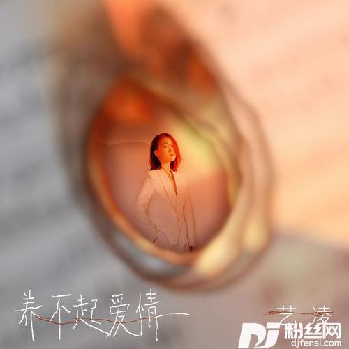 养不起爱情