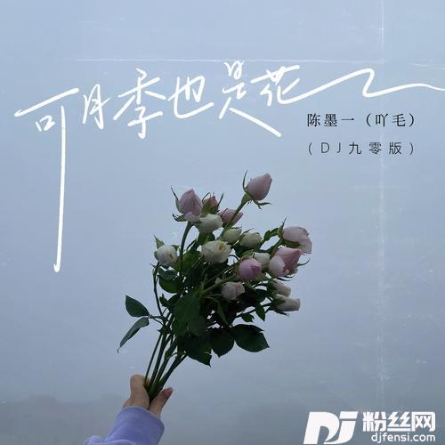 可月季也是花DJ九零版