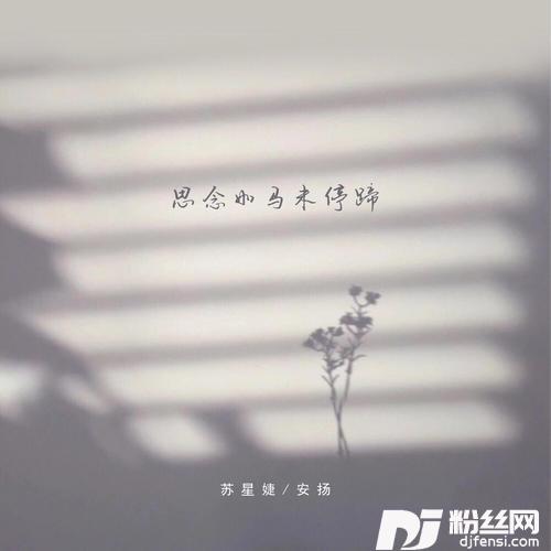 思念如马未停蹄的专辑