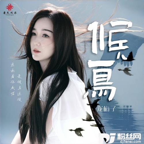 候鸟的专辑