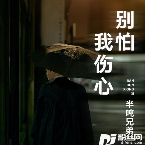 别怕我伤心的专辑