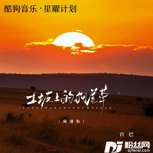 土坡上的狗尾草藏语版