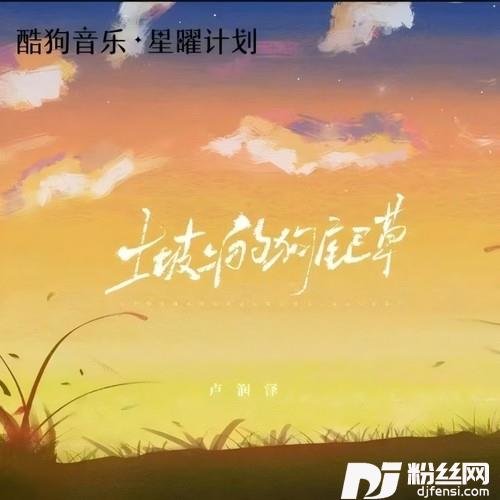 土坡上的狗尾草臻享版