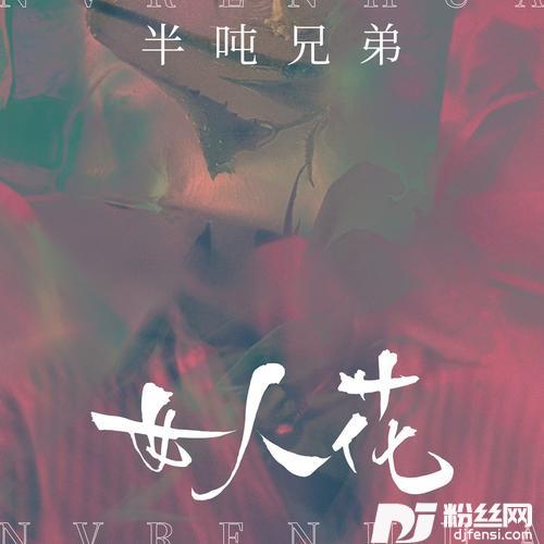 女人花DJ九零版的专辑