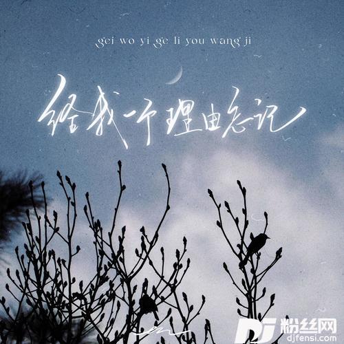 给我一个理由忘记那么爱我的你