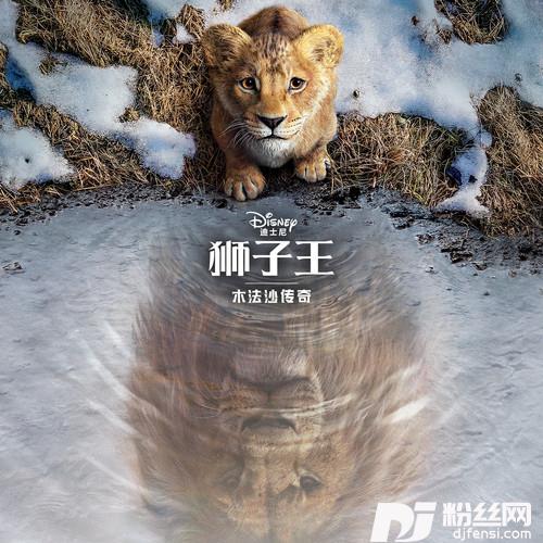 大家一起走的专辑