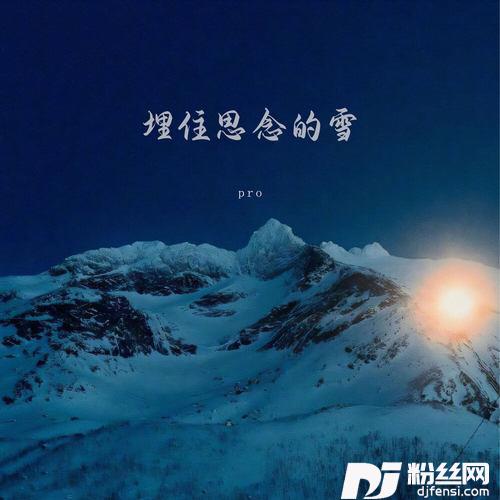 埋住思念的雪