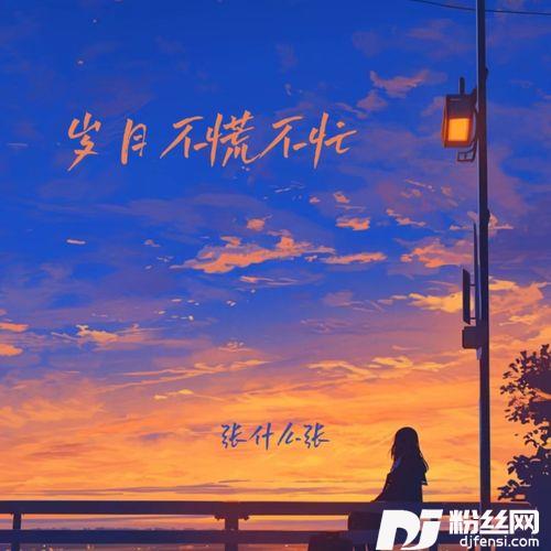 岁月不慌不忙的专辑