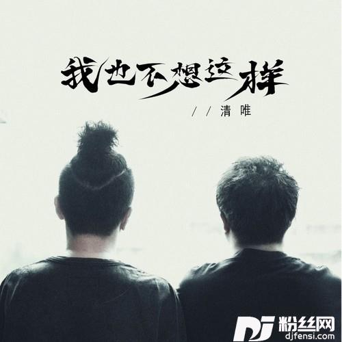 我也不想这样的专辑