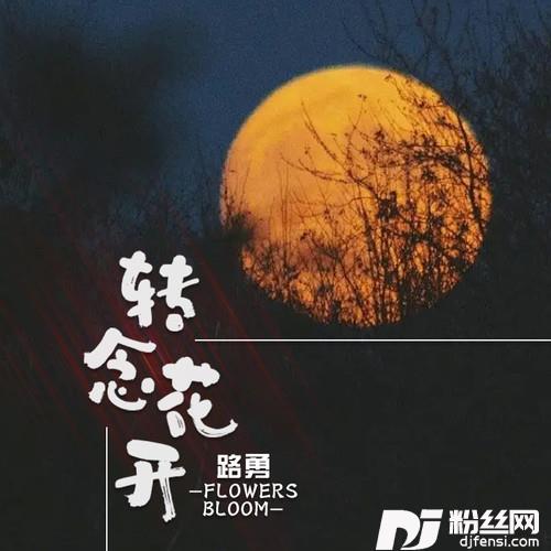 转念花开的专辑