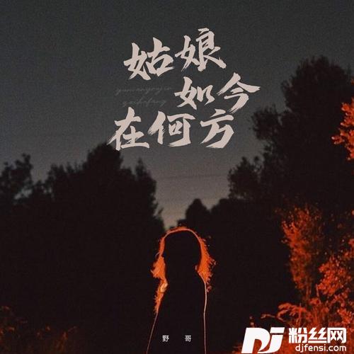 姑娘如今在何方的专辑