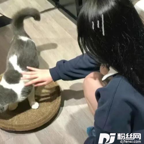蛋生蛋抽象版的专辑